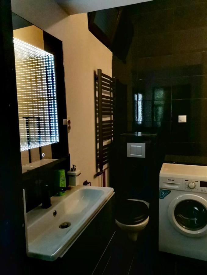 Old City Romantic Studio 布拉索夫 外观 照片